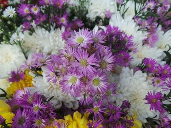 Full frame shot of purple flowers