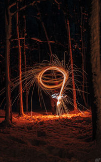 Light painting on tree at night