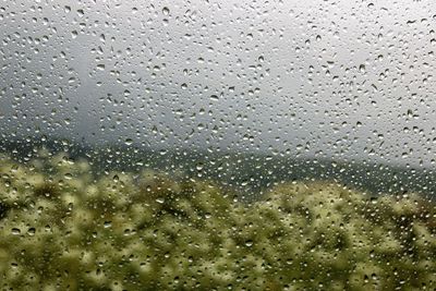 Full frame shot of raindrops on window