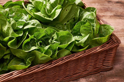 Green leaves in basket