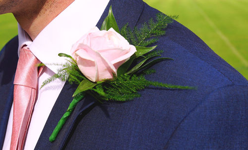 Close-up of pink roses