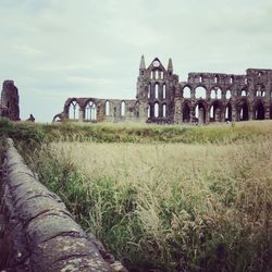 Old ruin building on field against sky