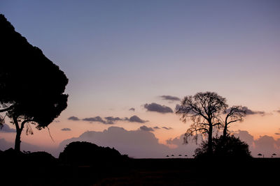 Silhouette trees on landscape against sky at sunset