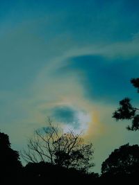 Silhouette of trees against cloudy sky
