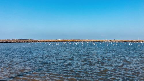 Scenic view of sea against clear blue sky