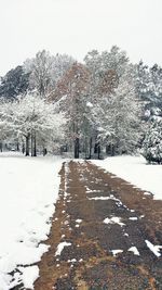 Snow covered trees against sky