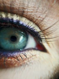 Extreme close-up of human eye