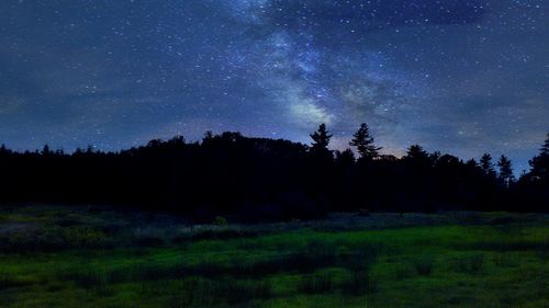 Scenic view of grassy field against sky at night