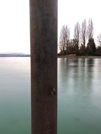 Close-up of bare tree by lake against sky