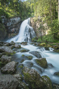 Scenic view of waterfall in forest