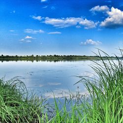 Scenic view of lake against blue sky