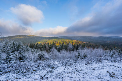 Scenic view of landscape against sky during winter