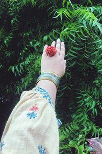 High angle view of woman hand holding plant