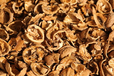 Full frame shot of dried food