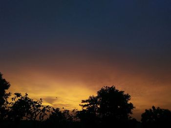 Low angle view of silhouette trees against sky during sunset