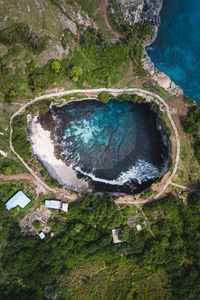 High angle view of trees on landscape