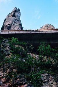 Plants on rock formation against sky