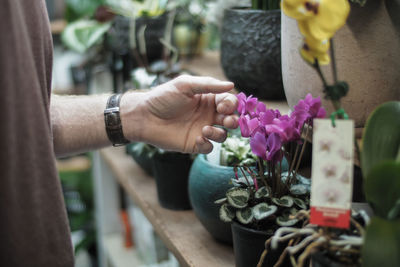 Midsection of man touching flowers