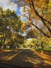 Road passing through forest