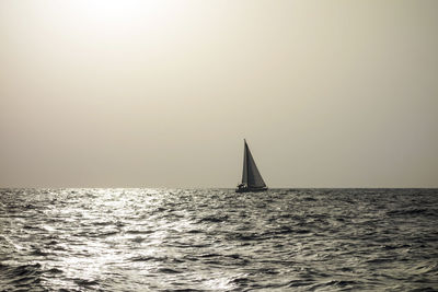 Sailboat sailing on sea against clear sky