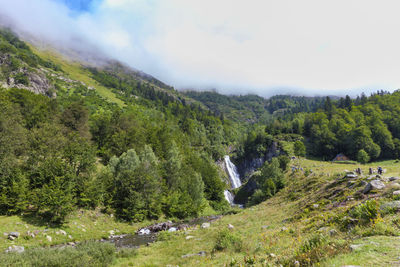 Scenic view of forest against sky