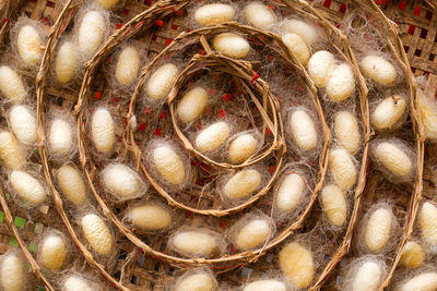 Full frame shot of coffee beans