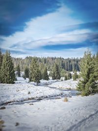 Scenic view of snow covered land against sky
