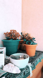 High angle view of potted plants on table