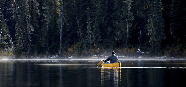 Man sitting in lake against trees in forest