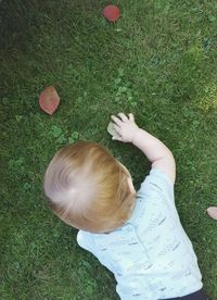 High angle view of person holding grass in field