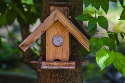 Close-up of birdhouse hanging on tree