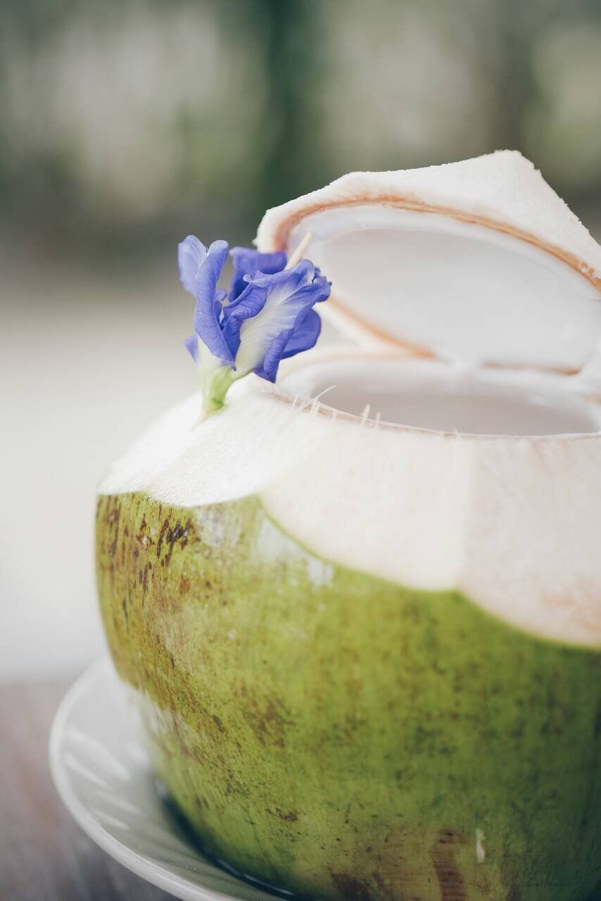 close-up, freshness, focus on foreground, indoors, flower, still life, selective focus, fragility, blue, table, white color, petal, food and drink, creativity, purple, single object, no people, art and craft, day, flower head