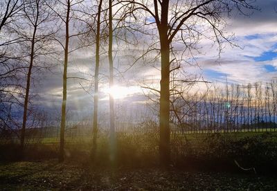 nature