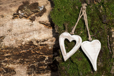 Close-up of heart shape on grass