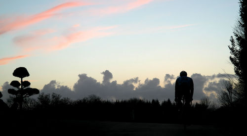 Silhouette of trees on landscape at sunset