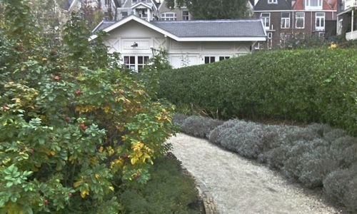 Buildings with trees in background