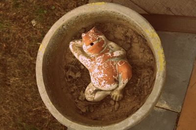 High angle view of frog figurine and soil in pot