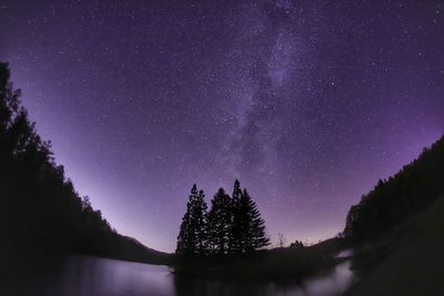 Low angle view of silhouette trees against star field