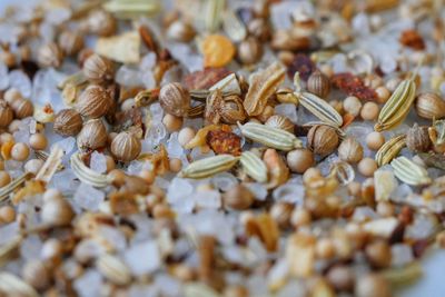 Close-up of insect on ground