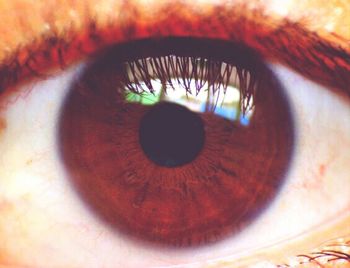 Extreme close up of human eye