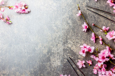 High angle view of pink cherry blossom