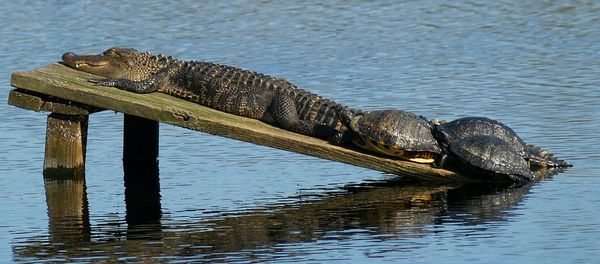 View of abandoned building