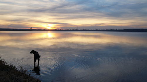 Silhouette person looking at view of sunset