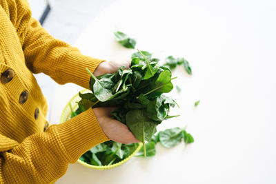 Women hands washing baby spinach leaves