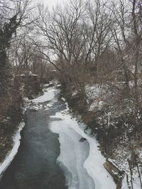 River amidst bare trees during winter