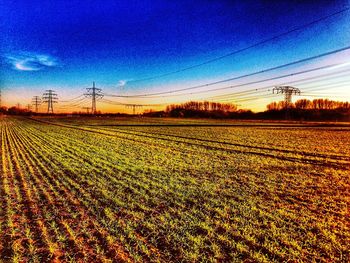 Scenic view of field against sky at sunset
