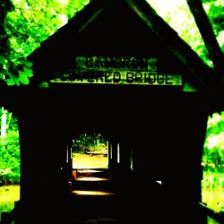 Information sign on tree trunk
