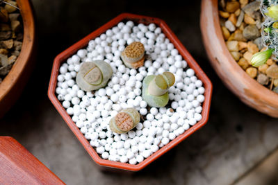 High angle view of candies for sale in market