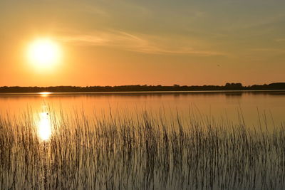 Scenic view of sunset