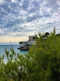 Scenic view of sea and palm trees and plants against sky